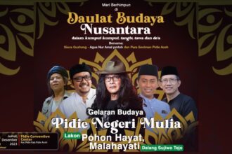 wayang dbn pidie negeri mulia